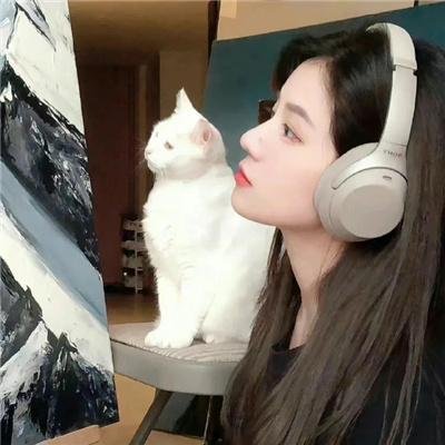 我的老婆是大佬